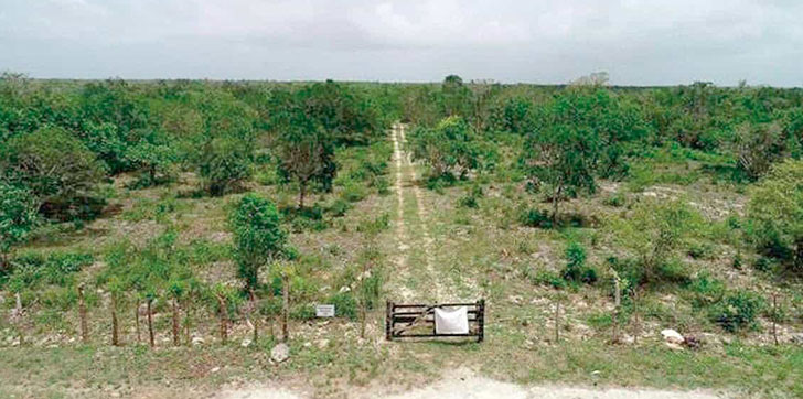 Sin licitación ni competencia: el TC tumba el proyecto aeroportuario de Bávaro