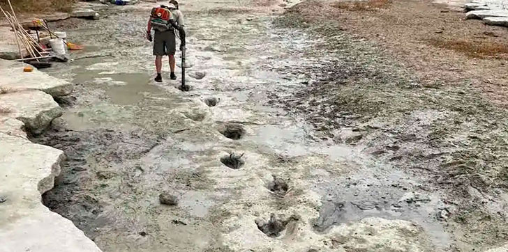 Hallan 15 huellas de dinosaurio tras inundaciones en Texas