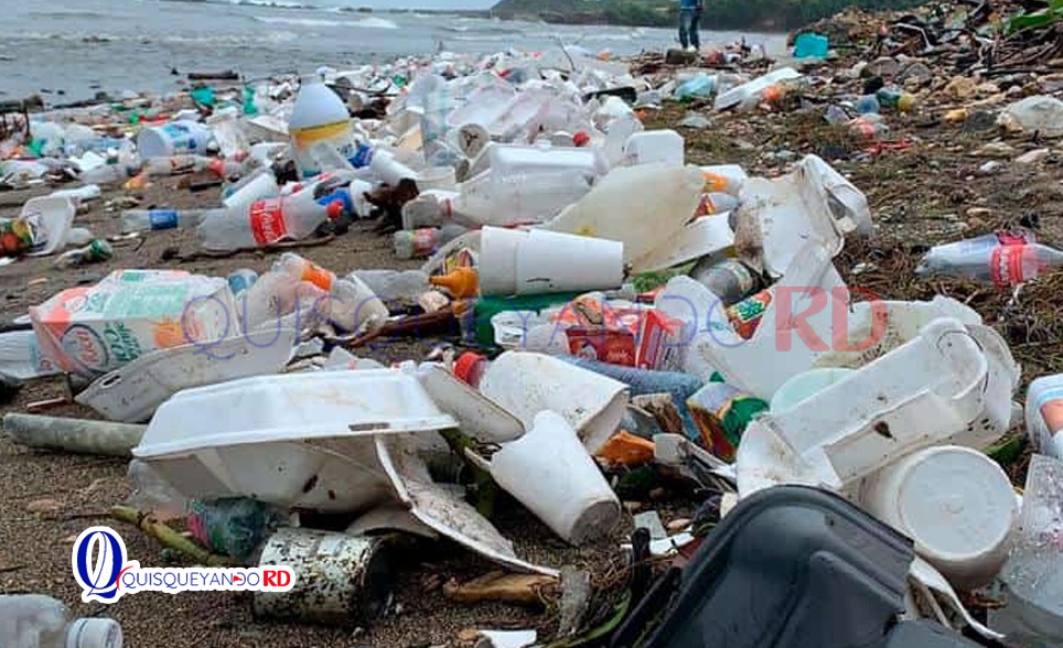 RD toma medidas para erradicar plásticos y foam del país
