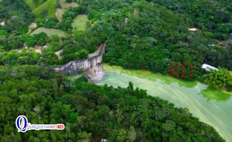 Presa de Hatillo toma color verde por proliferación de algas, confirma Medio Ambiente