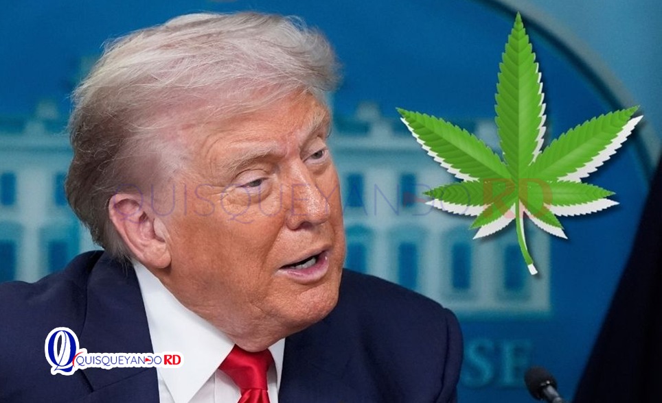 Marihuana podría ser considerada menos peligrosa bajo propuesta de Trump