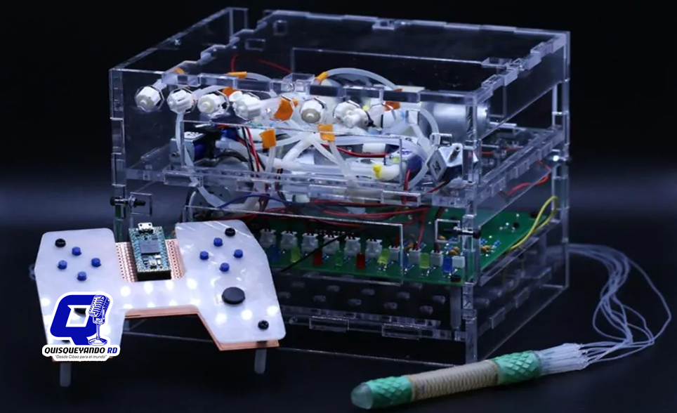 Científicos desarrollan un robot blando capaz de ayudar a diagnosticar y tratar enfermedades del Intestino Delgado