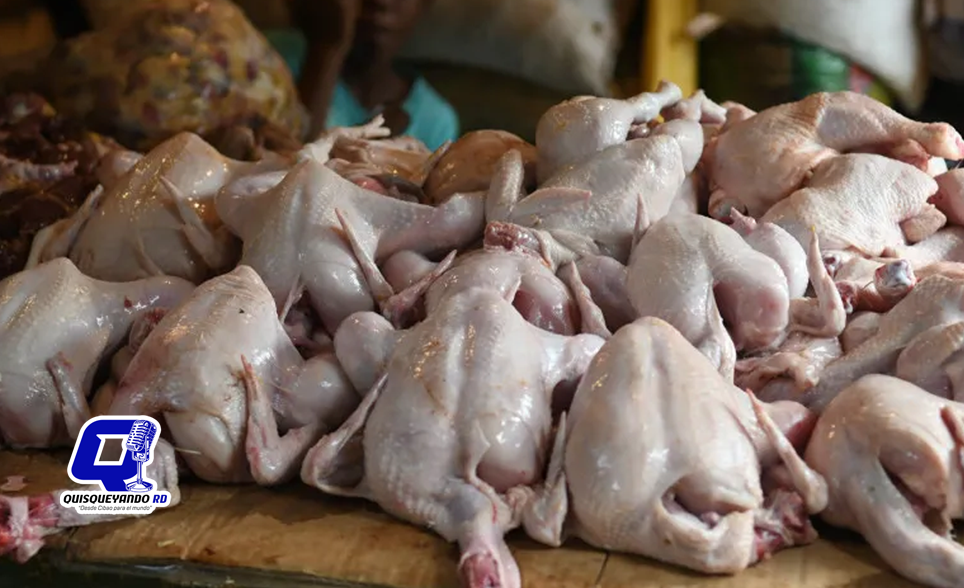 Pollo barato en granja y caro en el mercado: productores piden ayuda al Gobierno