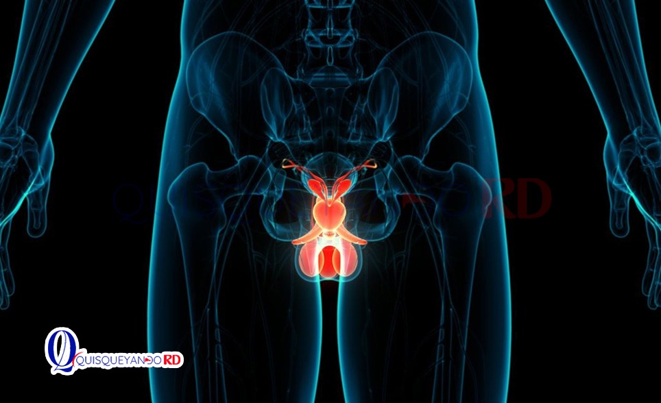 Eyacular 21 veces al mes, según Harvard, podría proteger contra el cáncer de próstata